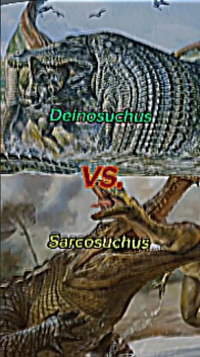 Deinosuchus Vs. Sarchosuchus