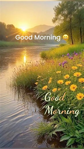 Have a Wonderful Good Morning! #goodmorning #goodmorningquote #goodmorningwishes | Good Morning Quotes, Images, Wishes