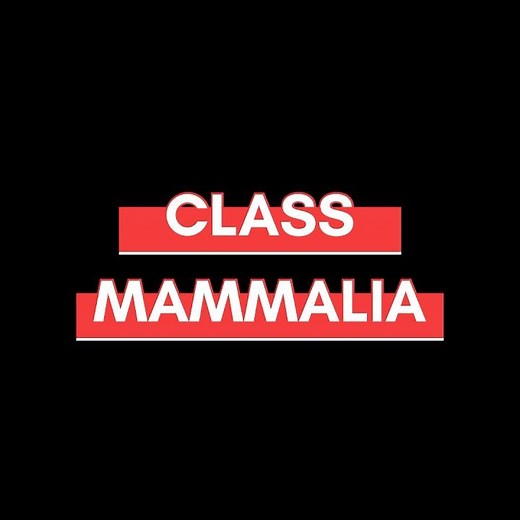 Class mammalia#class9 #ncert #neet #biology#chapter7 #notes #shorts #classification #animalia #scifi