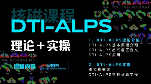 DTI-ALPS理论+实操