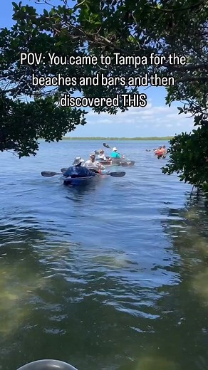 🚣‍♂️🏞️ Are you planning a Spring Break trip to Tampa/St. Pete?! If so, don’t forget to check out Shell Key Preserve! Just minutes away from the hustle and bustle of St. Pete Beach, you’ll find yourself immersed in a secluded nature preserve accessible only by boat! 🏞️🚣‍♂️ #floridawinters #florida #shellkey #springbreak #springbreakflorida #thingstodointampabay #thingstodostpete #visitflorida #clearkayaking #adventureflorida #getupandgokayaking #adventure #escapewithus #tropicalvacations