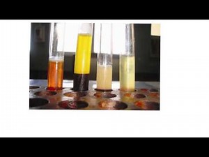 Blood4-Plasma vs Serum