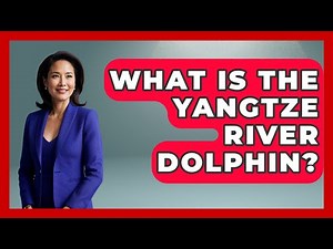 What Is The Yangtze River Dolphin? - The Marine Life Explorer