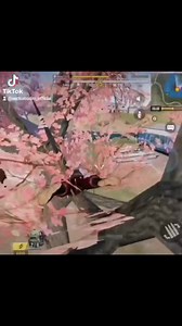 453K views · 10K reactions | Best Campero藍藍 #CODM #CODMobile #reels | Vector Daily Grind | Facebook