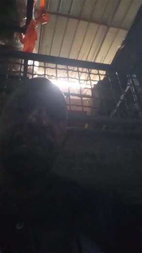 Basha Alkine (@bashaalkine)’s videos with الصوت الأصلي - الدعوة إلى الله