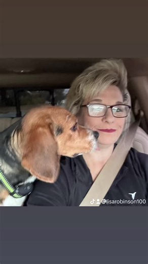 Lisa Robinson (@lisarobinson100)’s videos with Good Dog - Tall Guy Short Songs
