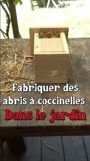 Make ladybug shelters! #garden #permaculture