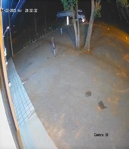 165K views · 884 reactions | Difunden video del accidente fatal que...