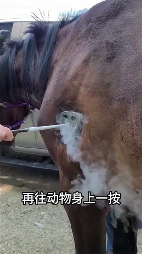 冷冻烙印科普 #百科密码#涨知识