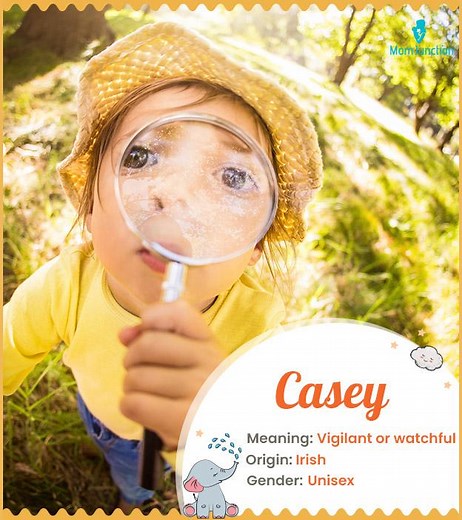 Casey Name, Meaning, Origin, History, And Popularity