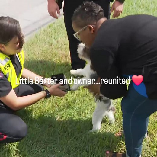 4.6K views · 438 reactions | Watch now on KPRC 2 or on the KPRC 2+ Livestream. Click2houston.com/watchlive | KPRC2 / Click2Houston | Facebook