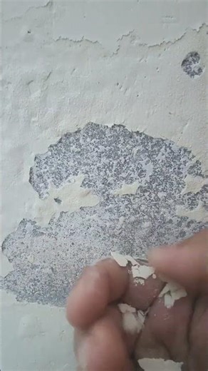 Easy To Peel Off Distamper From The Wall #satisfying #relax #asmrvideo
