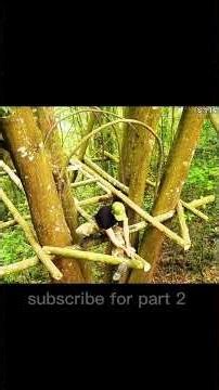 Secret Treehouse Built Alone in the Wild!#Bushcraft#shots