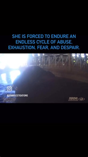 15 reactions · 3 comments |  Can you even begin to imagine a life...