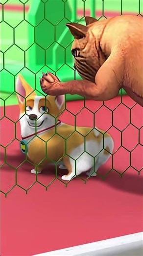 Let's jump with Moco!🐶🤪#moco #shorts