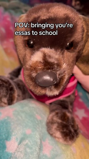 Bringing Your Essa to School: Embracing Support