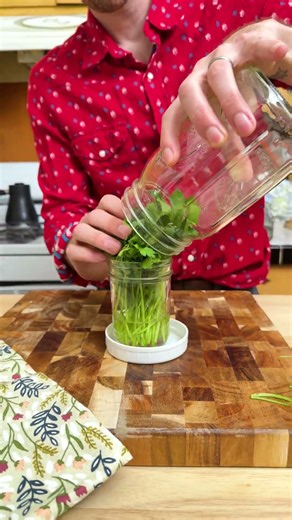How to store cilantro to make it last longer! 🌿 #cilantro #kitchenhack #mealprep #cooking