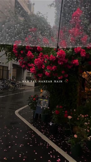 khairiyat song lyrics ✨ tumhari tasvir ke sahare #aesthetic #song #shorts