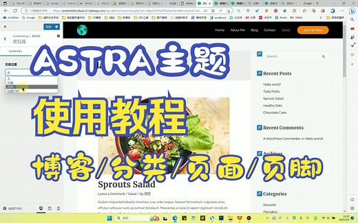 wordpress建站视频教程：ASTRA主题使用教程4 博客/分类/页面/页脚设置