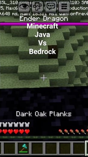Minecraft Bedrock vs Java #minecraft #MYESTRY
