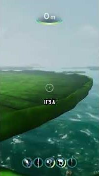 An Underwater Network of Giant Lilypads