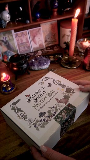 Mystery Box Reveal!!!✨🎁 I'm so excited that I am finally able to reveal February's Subscription Box. This is my second Spellbound Society Mystery Box - a subscription box for witches, each box has been illustrated and designed by me, all the items I designed especially for each box so it is exclusive and only available from Spellbound Society and nowhere else in the world www.spellboundsociety.com I’m now creating 4 Subscription Boxes each year: November, February, May and August. Subscriptions