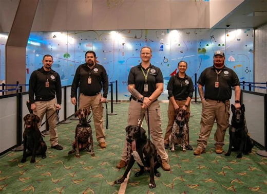 What happens to TSA dogs when they retire? The answer will melt your heart