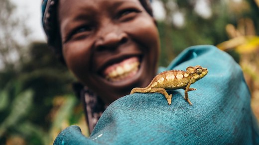 Leaders' Pledge for Nature