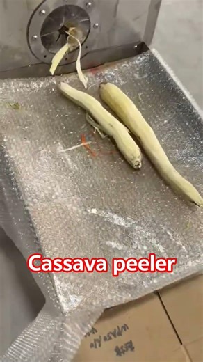 Automated tapioca peeling processes one ton of tapioca per hour #cassava #machine #radish