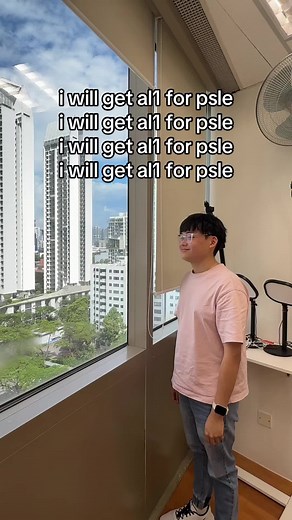 Effective Study Techniques for PSLE 2025 Success