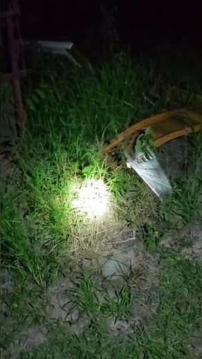 Incredible Nighttime Spider Web Building – Up Close