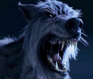 1.6M views · 22K reactions | Human Monster Vs Werewolf  | xAcceptiion | Facebook