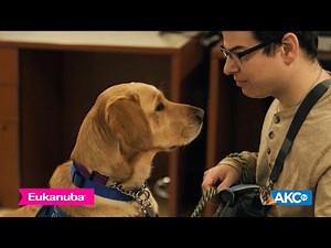 Matched With Canine Companions Lovey: A Service Dog Story About Love, Loss, and Starting Again