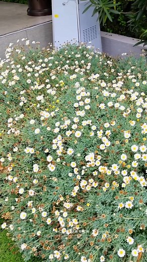 Construire MOINS CHER on Reels