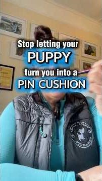Stop Puppy Biting Before It Gets Worse (This Isn’t Normal)