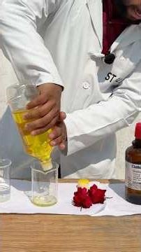 When Chemistry Turns Extreme: Piranha Solution vs Rose!