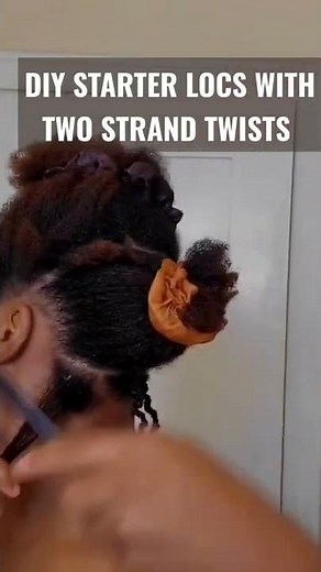 DIY STARTER LOCS WITH TWO STRAND TWISTS || Elle McLean