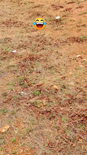 ....mme ene o friendly and jolly is very important. | Mando Botshelo