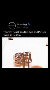 On September 21, 2012, Space Shuttle Endeavour took its final flight—mounted atop a modified NASA Boeing 747—for a farewell tour across California. In a powerful tribute, crowds gathered to watch as the shuttle soared over landmarks like the Golden Gate Bridge, Disneyland, and the California State Capitol, offering one last glimpse of the storied spacecraft that completed 25 missions in space. The journey concluded in Los Angeles, where Endeavour was officially retired and placed on permanent di