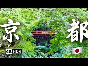 🇯🇵 Kyoto Travel | Two-Day Free Tour in Kyoto, Recommended Must-See Attractions!With English audio
