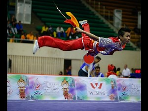 National Wushu Taolu Championship 2016 China Amazing Shows