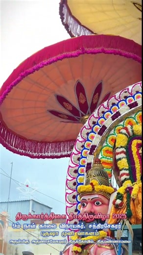 Deepam 2025 Day_9 morning veethiula | Tvmalai #temple #shiv #ytshorts #yt #deepam #mahadev #deepam