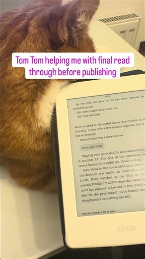 Writing a book is easy with a cat.