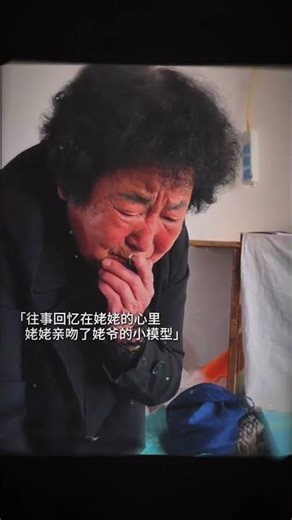 这份模型不仅是回忆也是，也是缓解奶奶对过往的思念#离别#画画#模型#泪目#心酸