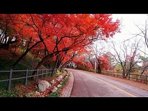 국내여행지베스트10 가을 가볼만한곳 단풍명소 10, 충청도, 경기도