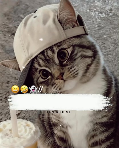 Funny Poetry and Status Ideas You’ll Love!