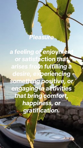 Understanding Pleasure: Definition and Insights