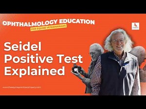 Seidel Positive Test Explained: Identifying Leaking Horse Corneal Ulcers
