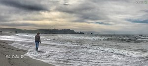 The otter beauty of the Oregon Coast