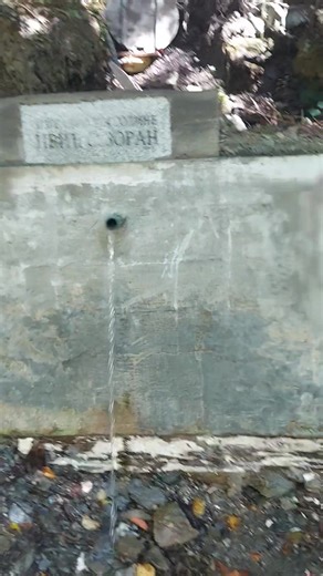 Ljubinka Ivic on Reels